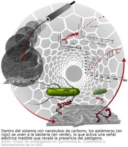 biosensor-salmonella