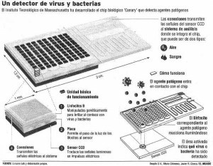 detector_virus