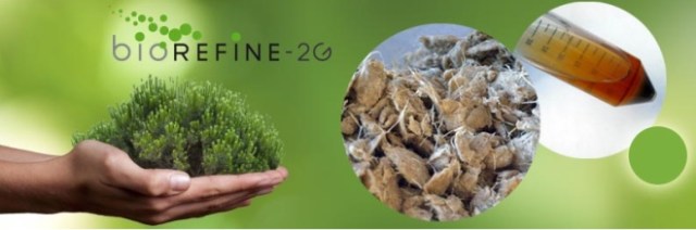 Proyecto en pleno desarrollo que esperemos sea muy fructífero. Nuestro planeta necesita muchas más iniciativas como estas.