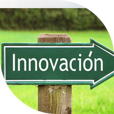 ¡La innovación es el camino! 