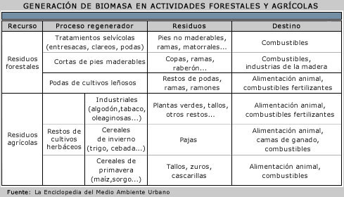 Combustibles a partir de residuos forestales: llegarán para quedarse?