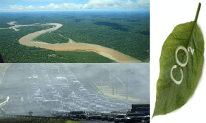 Dos ríos: el Amazonas y uno de coches. CO2: Las dos caras de la moneda.