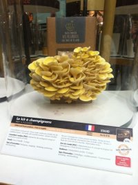 450xNxIMG_3652.jpg.pagespeed.ic.k6LgCYbGBE (2)