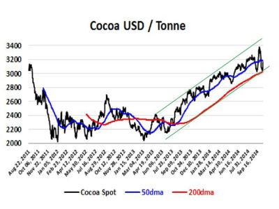 Precios del cacao en ascenso...