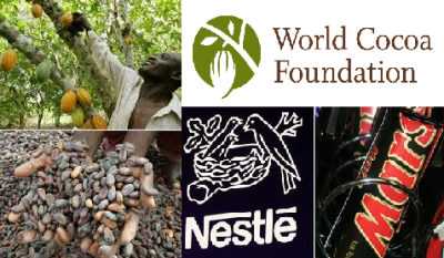 La fundación se pone manos a la obra en la lucha contra el brote de Ebola.