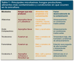 Aflatoxinas y otras micotoxinas que pueden estar presentes en alimentos