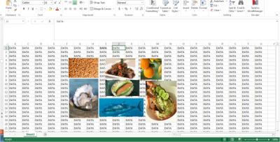 ¿Qué dice nuestro rastro digital acerca de nuestras preferencias alimenticias?