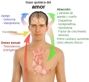 Todo esto nos pasa cuando somos presa del amor...