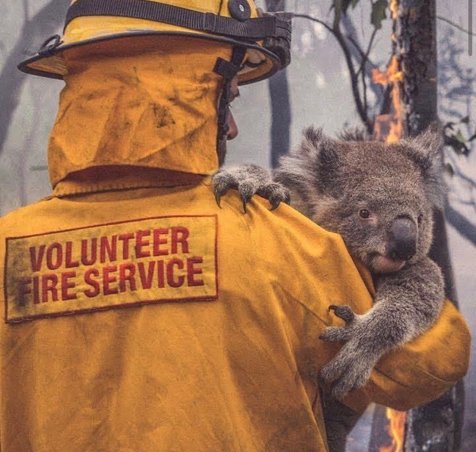 Fotografías_demoledoras_que_nos_hacen_tomar_conciencia_de_la_gravedad_de_los_incendios_en_Australia_4
