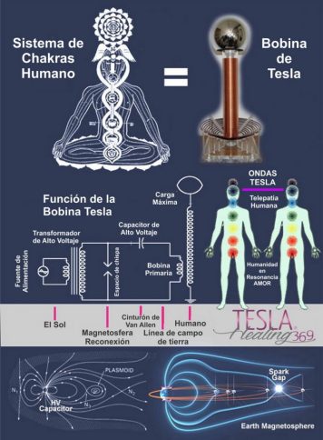 TH369_bobina-752x1024