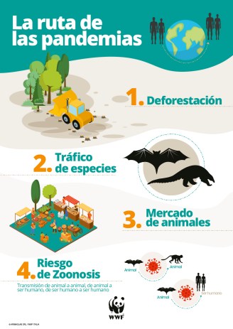WWF-Camino pandemias
