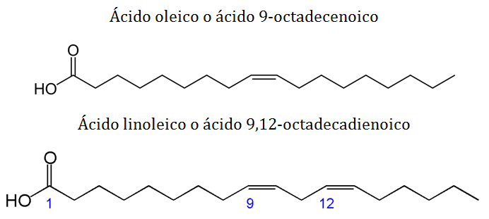 lipidos-07-nombre-acidos-grasos