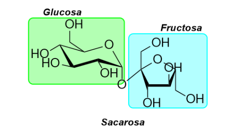 sacarosa