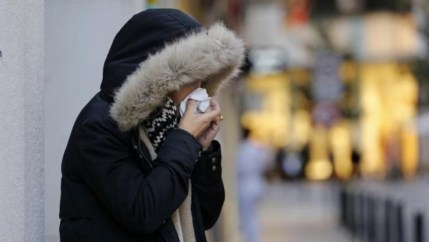 aditivo-alimentario-gripe-kYQD--1200x630@abc