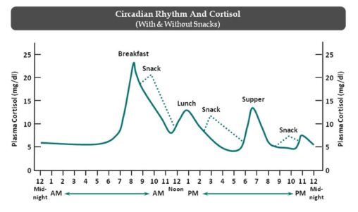 ritme-circadia-cortisol