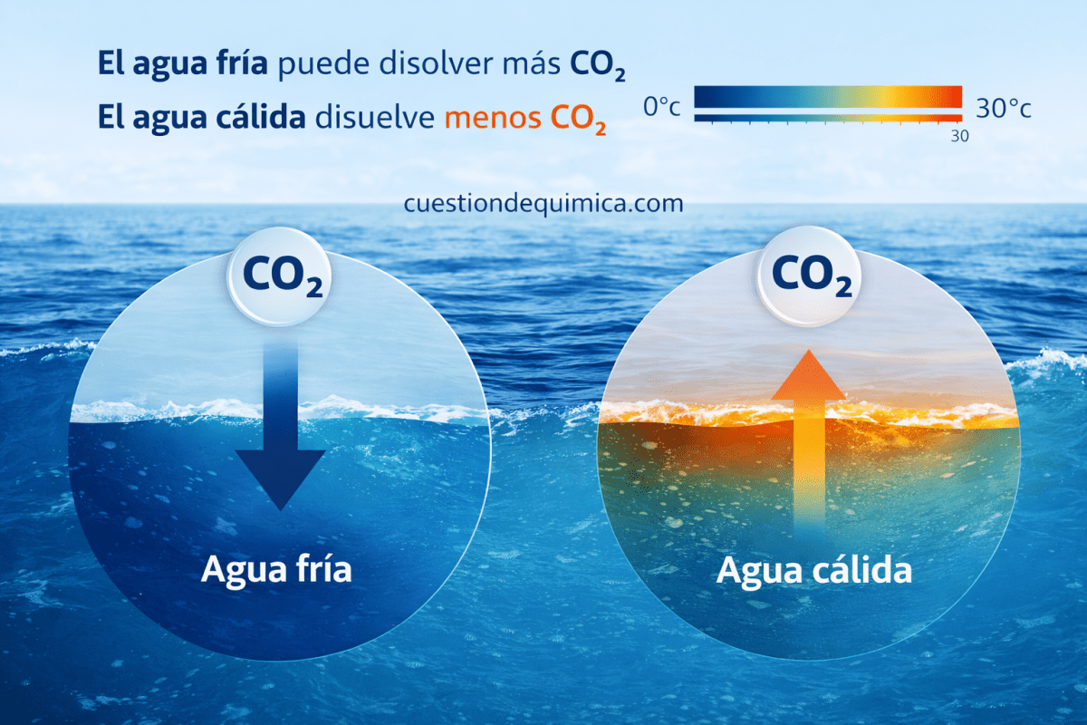 Infografía que muestra cómo el agua fría absorbe más CO₂ y el agua cálida menos, ilustrando la relación entre temperatura y solubilidad del dióxido de carbono en el océano